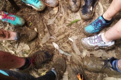 Small Group Waterfall and Rainforest Hiking Adventure on Maui