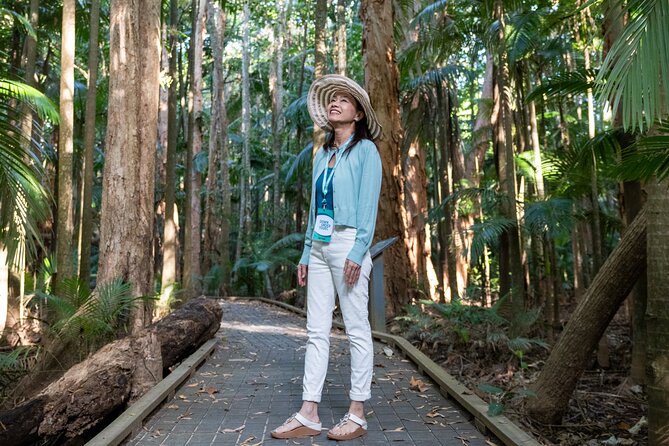 Small Group Waterfall Wetlands+ Skyrail All Inclusive from Cairns - Key points at a glance