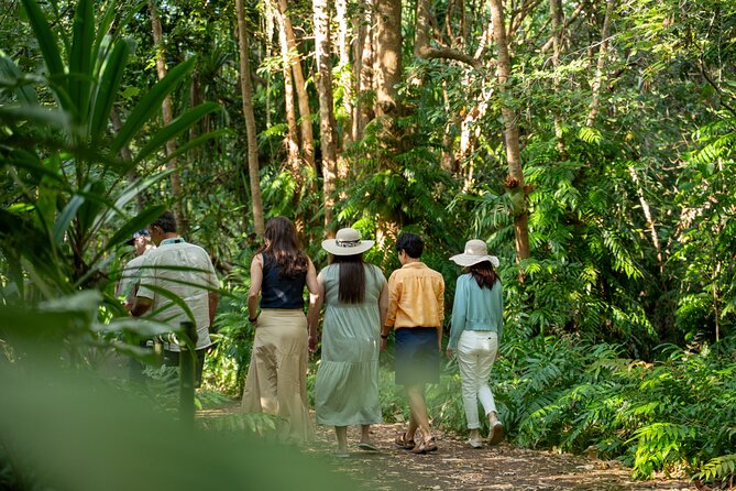 Small Group Waterfall Wetlands+ Skyrail All Inclusive from Cairns - Skybury lunch, coffee and liqueur in one stop