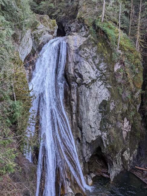Snoqualmie, Twin Falls & Ancient Forest (Transport Included) - Key points at a glance
