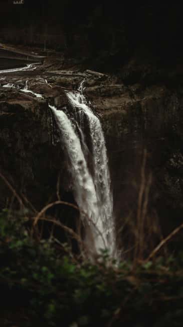 Snoqualmie, Twin Falls & Ancient Forest (Transport Included) - Who should book this waterfall outing?
