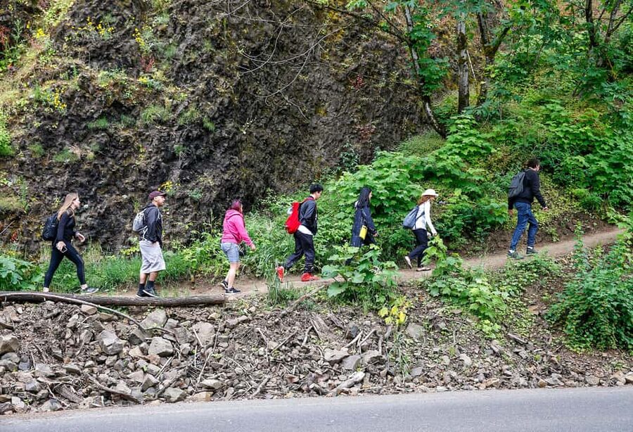 Snoqualmie, Twin Falls & Ancient Forest (Transport Included) - Twin Falls adds a quieter woodland feel