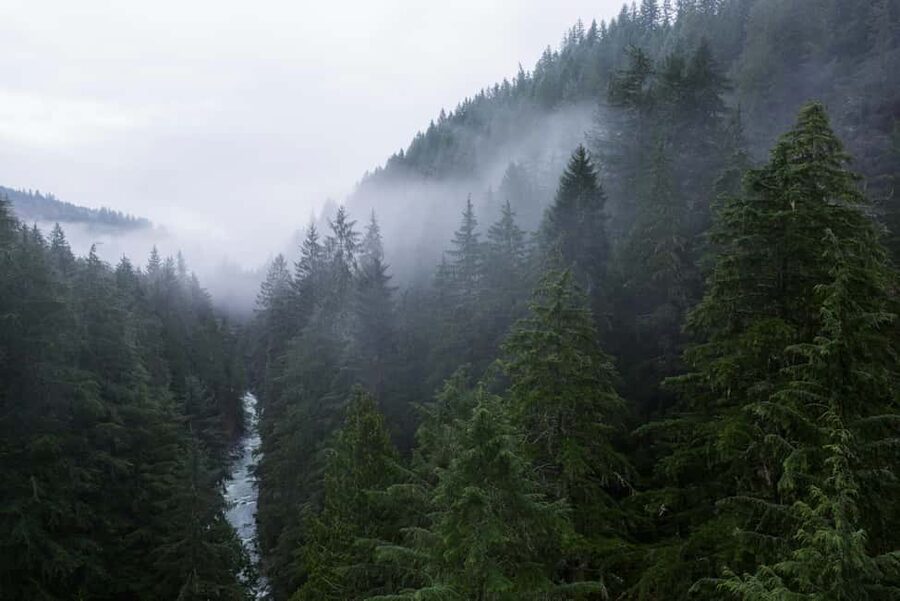 Snoqualmie, Twin Falls & Ancient Forest (Transport Included) - Olallie State Park is the forest highlight