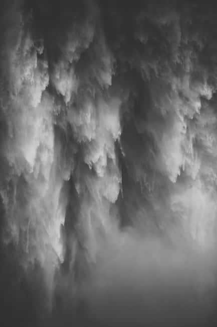 Snoqualmie, Twin Falls & Ancient Forest (Transport Included) - Starting at Zeitgeist Coffee in Pioneer Square