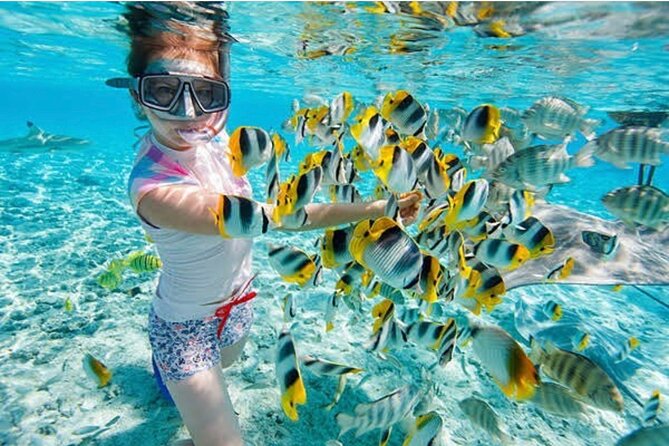 Snorkeling At Blue lagoon And Hidden waterfall - Blue Lagoon and Tanjung Jepun: The day’s real highlight