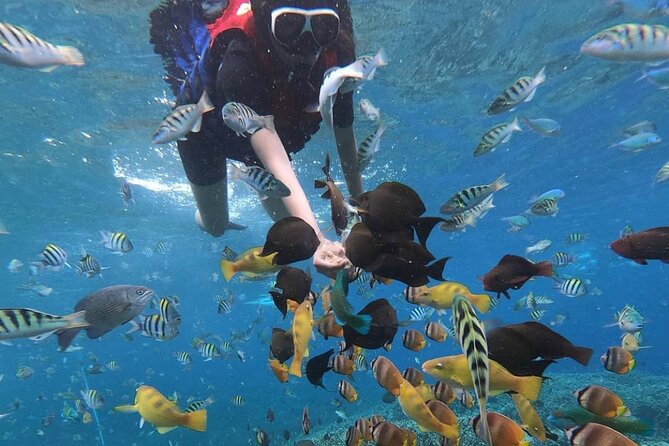 Snorkeling At Blue lagoon And Hidden waterfall - What the snorkeling experience is really like