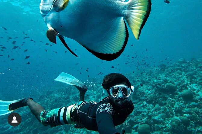 Snorkeling At Blue lagoon And Hidden waterfall - A Balinese lunch keeps the schedule practical