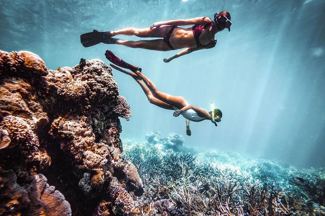Snorkeling At Blue lagoon And Hidden waterfall - Satria Coffee Plantation: A light final stop