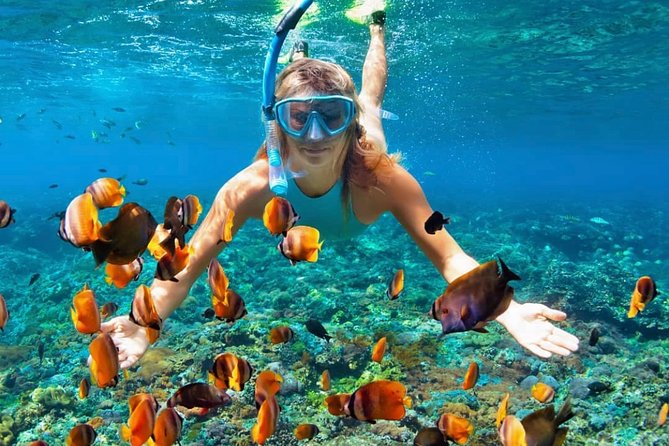 Snorkeling At Blue lagoon And Hidden waterfall - Kanto Lampo Waterfall and the short forest walk