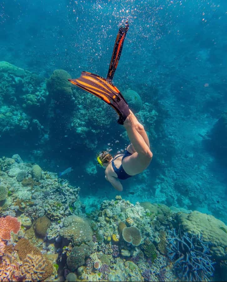 Snorkeling at Blue Lagoon, Tanjung Jepun and Waterfall - Tanjung Jepun and Blue Lagoon: two chances underwater