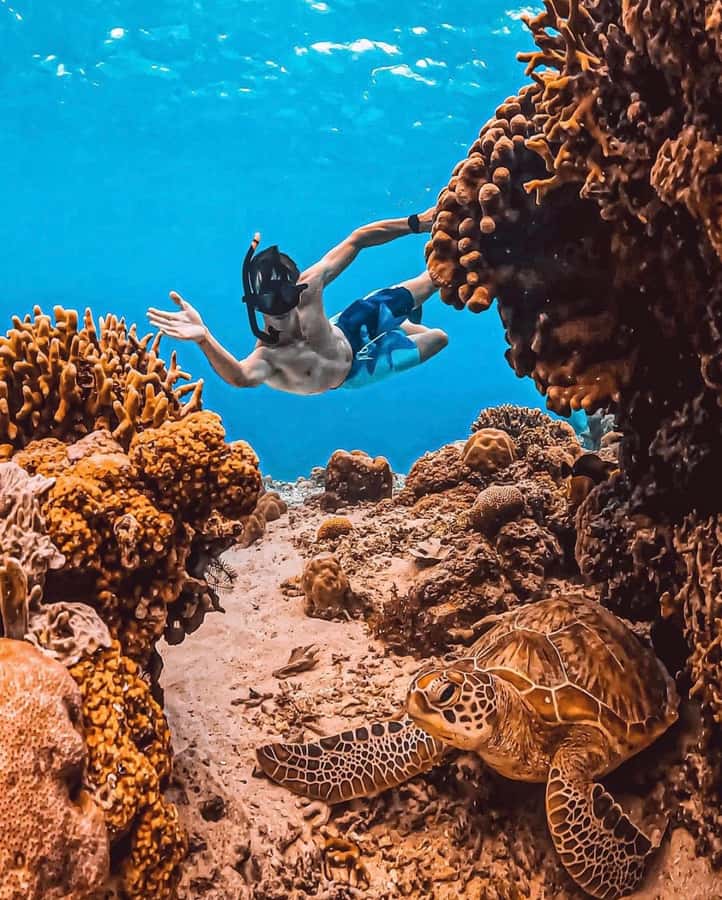 Snorkeling at Blue Lagoon, Tanjung Jepun and Waterfall - The pace, comfort, and practical limits
