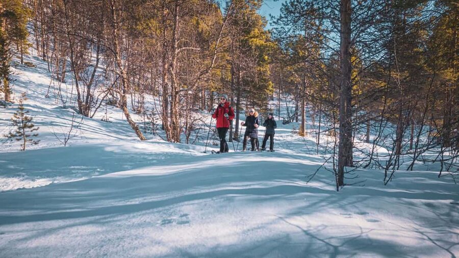 Snowshoeing Adventure to the Enchanting Frozen Waterfall - The waterfall stop and return walk