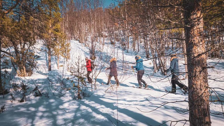 Snowshoeing Adventure to the Enchanting Frozen Waterfall - The guide makes the difference