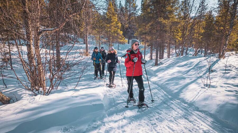 Snowshoeing Adventure to the Enchanting Frozen Waterfall - Is the $187 price fair?