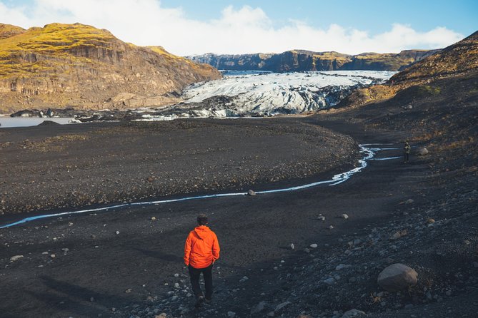 South Coast Day Tour Black Sand Beach & Waterfalls from Reykjavik - Reynisfjara, black sand, and serious wave safety