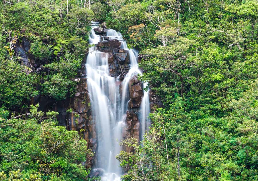 South: Gorges, Waterfalls, Lakes, Trails, 23 Coloured Earth - Mare aux Vacoas offers a quiet lake stop