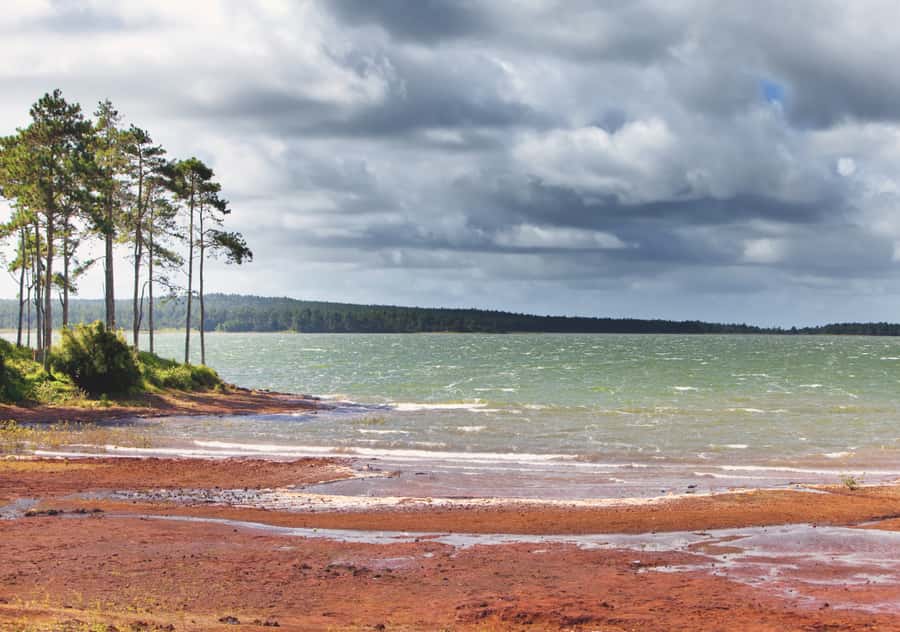 South: Gorges, Waterfalls, Lakes, Trails, 23 Coloured Earth - Sophie Nature Walk starts the day quietly