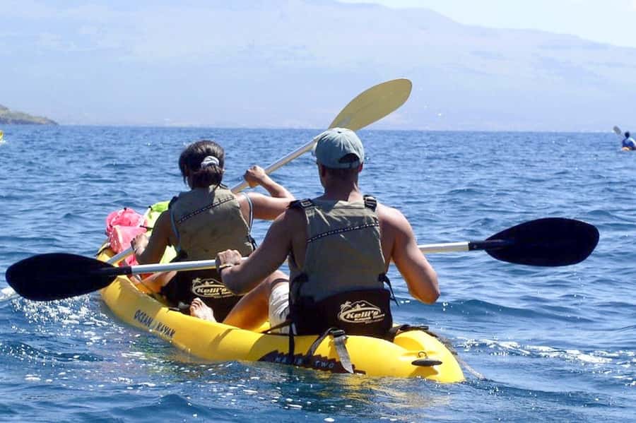 South Maui: Waterfall Tour w/ Kayak, Snorkel, and Hike - Snorkeling and the search for Green Sea Turtles