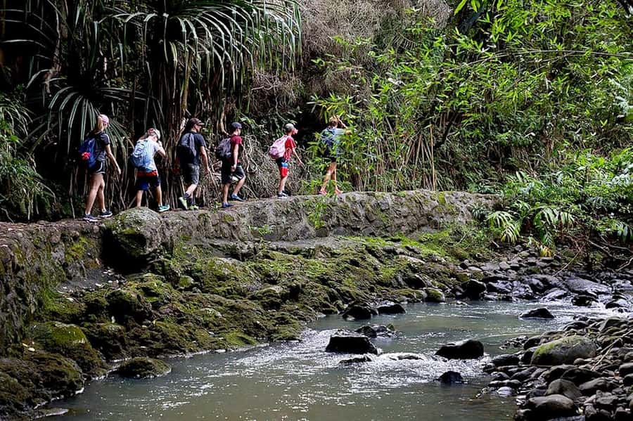 South Maui: Waterfall Tour w/ Kayak, Snorkel, and Hike - What the $260 price really covers