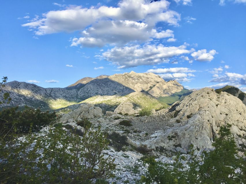 Split: ATV Quad Tour with Waterfall Swimming with Picnic - How much value do you get for $94?