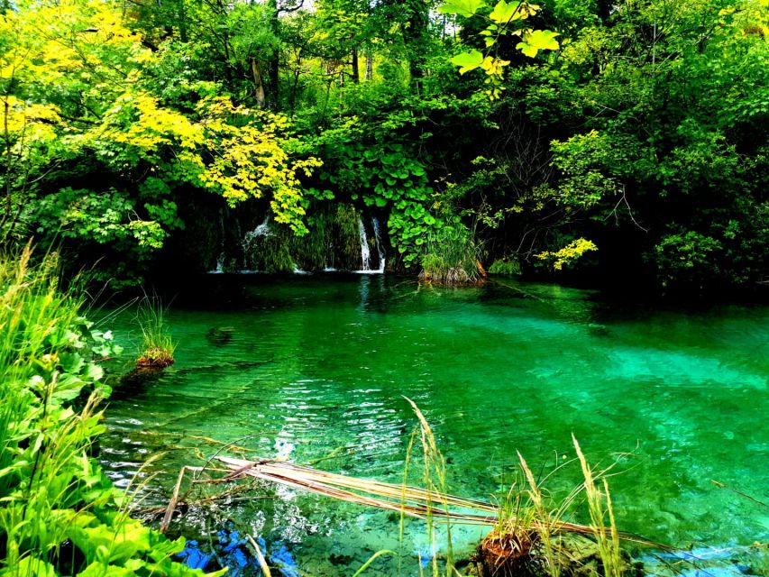 Split: Plitvice Lakes Guided Day Tour with Entry Tickets - Who should book this Split day trip?