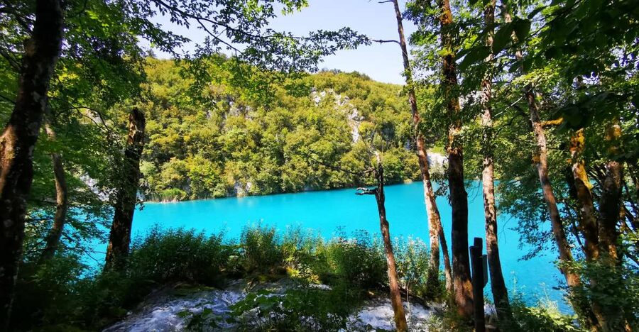 Split: Plitvice Lakes Guided Day Tour with Entry Tickets - What the guides add to the day
