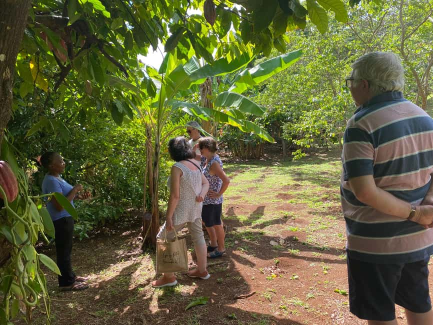 St. George's: Half-day spice and waterfall tour - Key points to know before booking