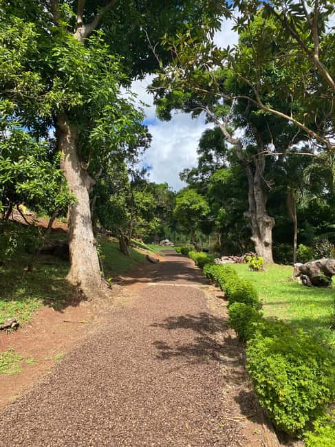 St. George's: Half-day spice and waterfall tour - Annandale Waterfall gives the afternoon a cool finish