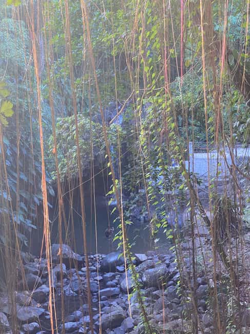 St. George's: Half-day spice and waterfall tour - What $88 per person really buys you