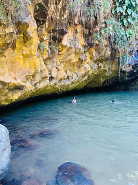 St. George's: Half-day spice and waterfall tour - Who will enjoy this four-hour outing