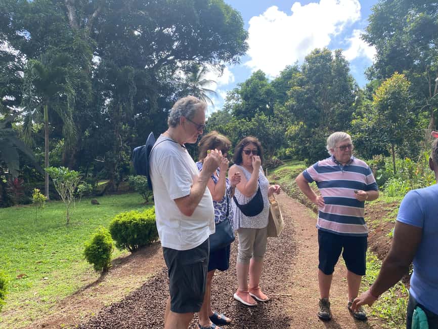 St. George's: Half-day spice and waterfall tour - The drive from St. George’s is part of the tour