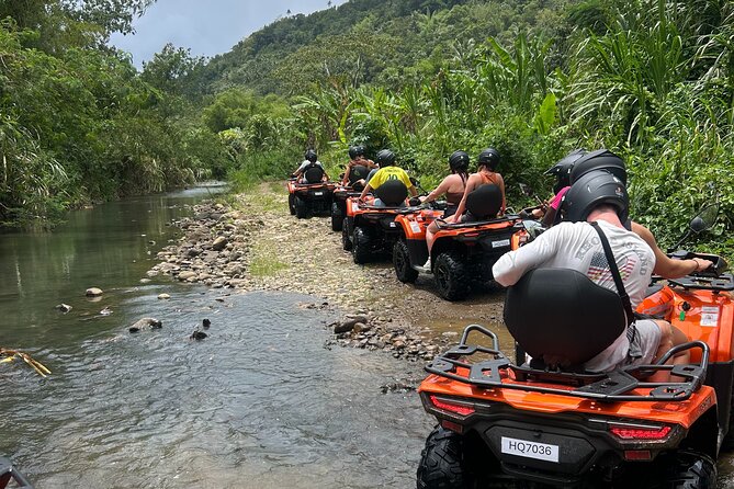 St Lucia ATV Tour : Waterfall, Plantation, Beach and Distillery - The farm stop with Farmer Peter