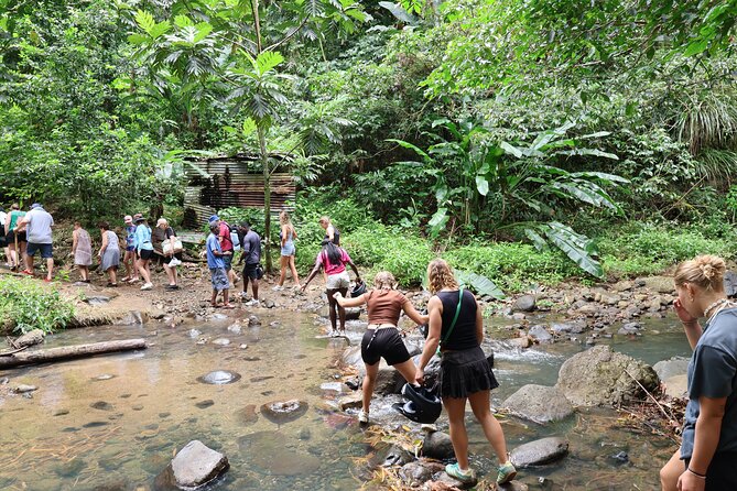 St Lucia ATV Tour : Waterfall, Plantation, Beach and Distillery - Riding through villages, rainforest, and Roseau Beach
