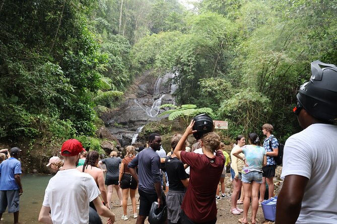 St Lucia ATV Tour : Waterfall, Plantation, Beach and Distillery - Rum at Saint Lucia Distillers