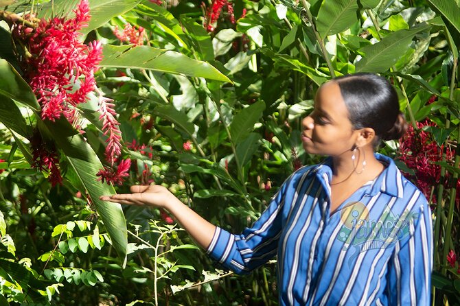St. Lucia Botanical Gardens and Waterfall Tour Groups only - What the $88 price includes, and what it does not