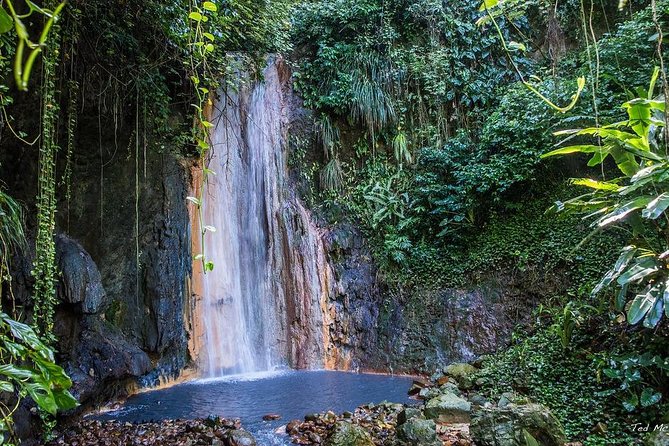 St. Lucia Botanical Gardens and Waterfall Tour Groups only - Diamond Botanical Gardens: the tour’s main attraction