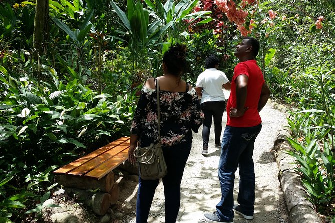 St Lucia Diamond Mineral and Mud Baths Plus Waterfall Adventure - Creole lunch in a local setting