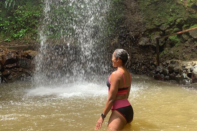 St Lucia Pitons Waterfalls and Mud Bath Experience. - Historical gardens, waterfall, and a change of temperature