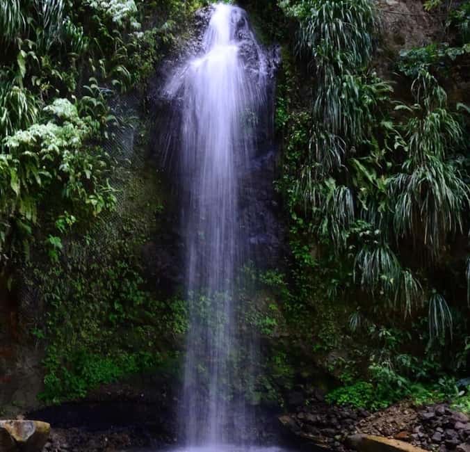 St. Lucia: Sulphur Springs Mud Bath and Toraille Waterfall - Who Will Enjoy This Most?