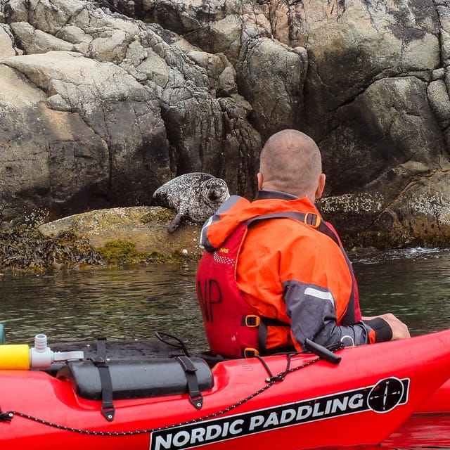 Stavanger: Lysefjord Kayak Safari (Waterfalls & Pulpit Rock) - Who Will Enjoy This Kayak Safari?