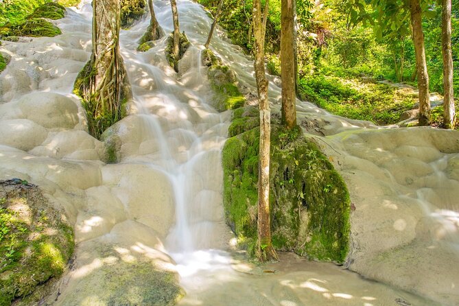 Sticky Waterfall Chiang Mai and Mae Ngat Boat Tour - The guide can shape the day