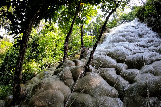Sticky Waterfall Cycling Tour - Key points before you book