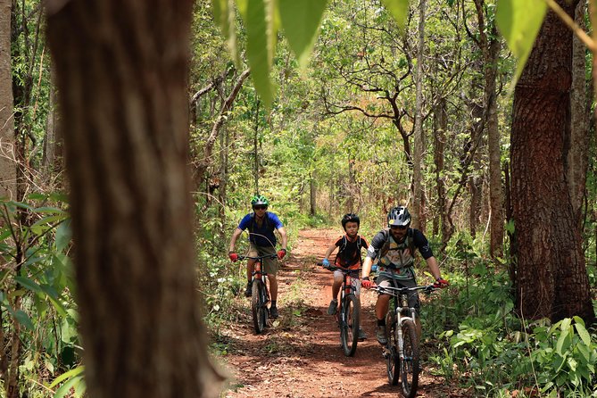 Sticky Waterfall Cycling Tour - Who will enjoy this day most