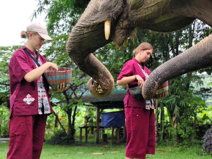 Sticky waterfalls- Elephants- Bamboo or White water rafting. - Key points to know before booking