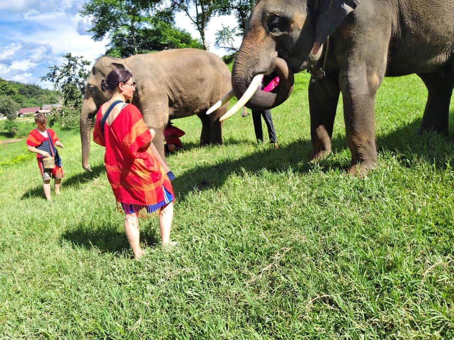 Sticky waterfalls- Elephants- Bamboo or White water rafting. - Three northern Thailand experiences in one day