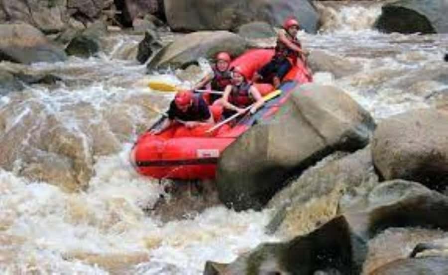 Sticky waterfalls- Elephants- Bamboo or White water rafting. - Meeting elephants without riding