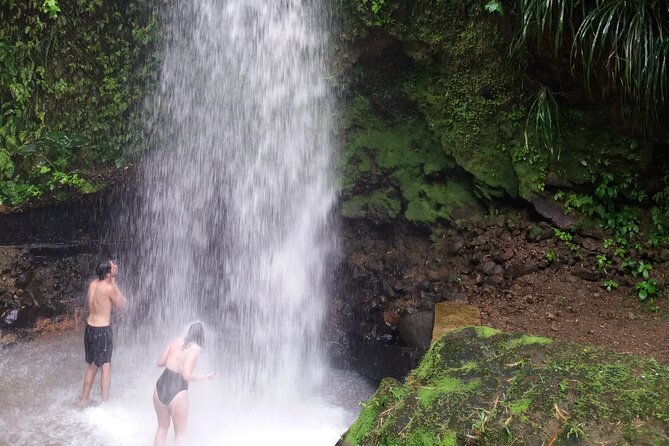 Sulphur Springs Mud Bath and Toraille Waterfall Tour with Creole Lunch - Key points before you book