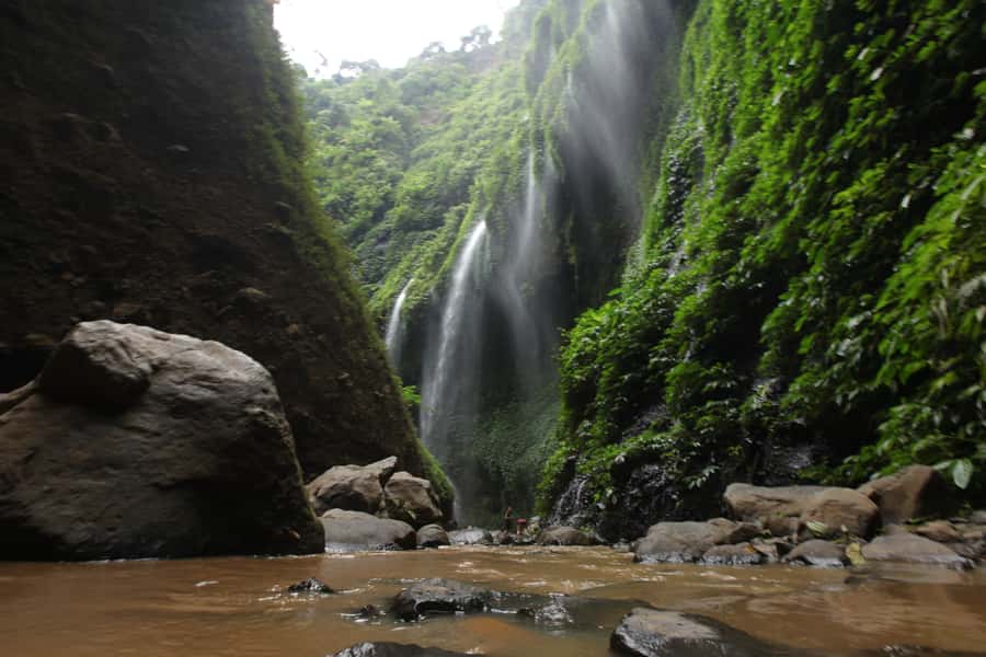 Surabaya: Bromo Sunrise & Madakaripura Falls Full-Day Tour - Key points to know before you book