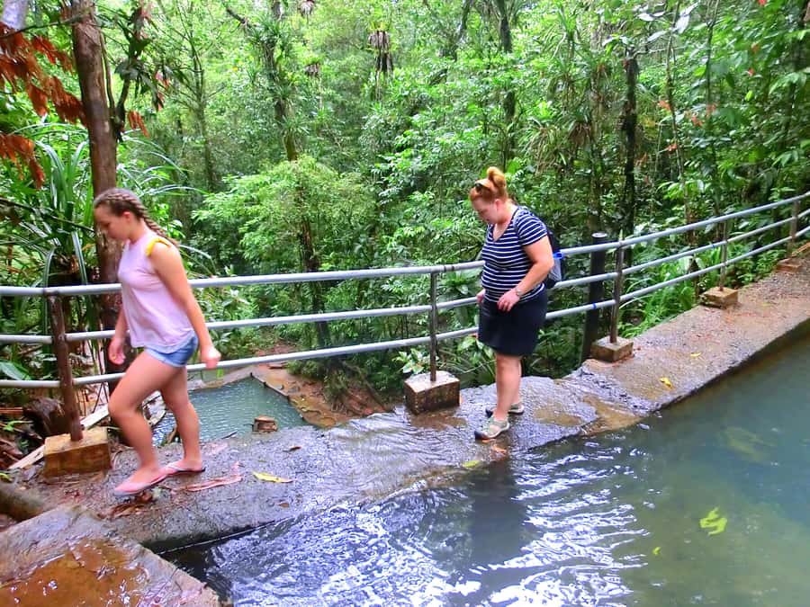 Suva: Fijian Nature and Waterfall Tour - Waisila Falls and the swimming stop