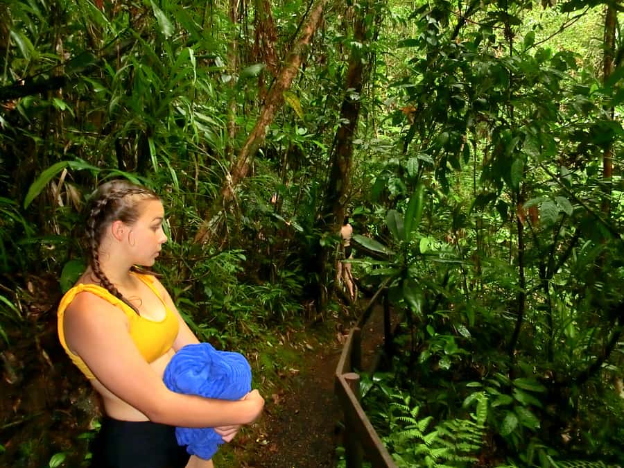 Suva: Fijian Nature and Waterfall Tour - How much time should you allow?